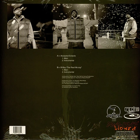 Aceyalone - Accepted Eclectic