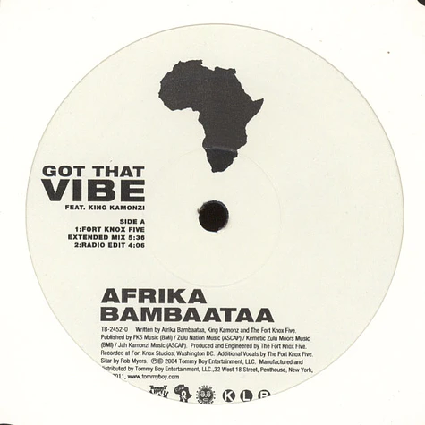 Afrika Bambaataa - Got That Vibe feat. King Kamonzi