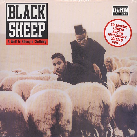 Black Sheep - A wolf in sheep's clothing