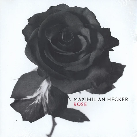 Maximilian Hecker - Rose