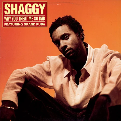 Shaggy Featuring Grand Puba - Why You Treat Me So Bad
