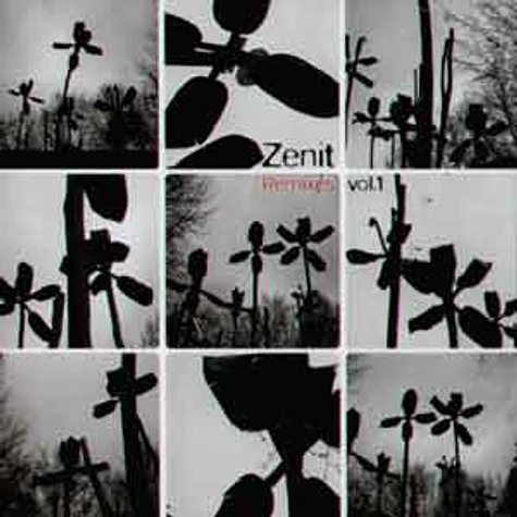 Zenit von Team Avantgarde - Remixes Volume 1