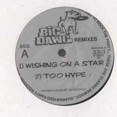 V.A. - Big dawg remixes