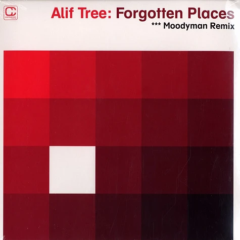 Alif Tree - Forgotten places