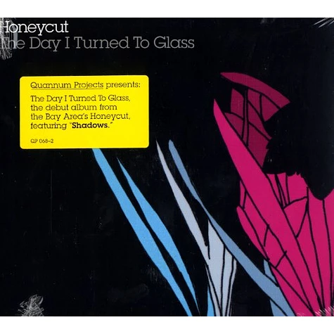 Honeycut - The day i turned to glass