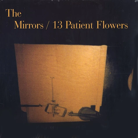 The Mirrors - 13 patient flowers
