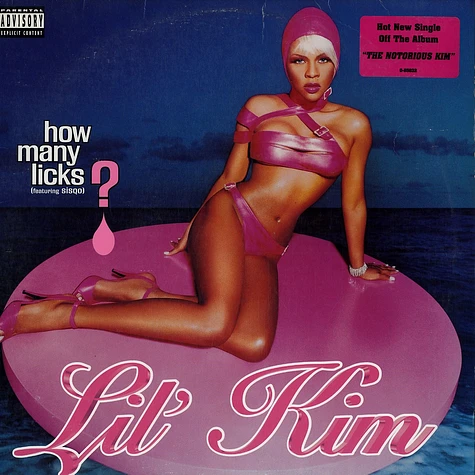 Lil Kim - How many licks