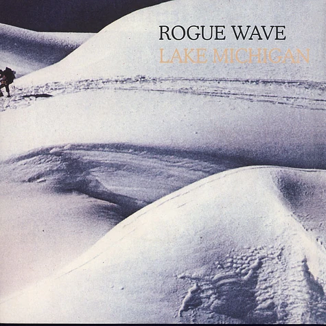 Rogue Wave - Lake Michigan