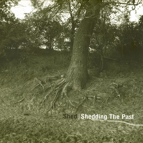 Shed - Shedding the past