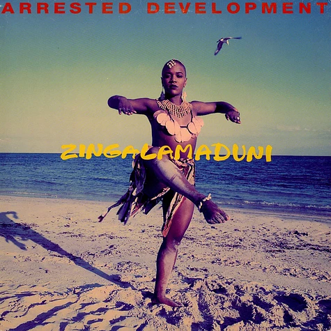 Arrested Development - Zingalamaduni