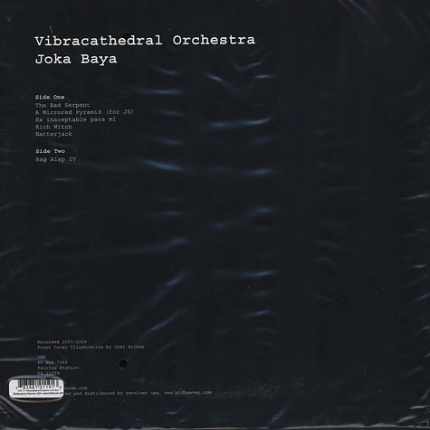 Vibracathedral Orchestra - Joka Baya