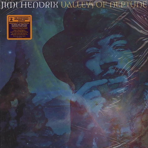 Jimi Hendrix Experience - Valleys Of Neptune