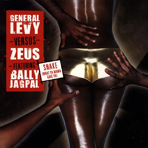 General Levy VS Zeus - Shake (What Ya Mama Gave Ya) Feat. Bally Jagpal