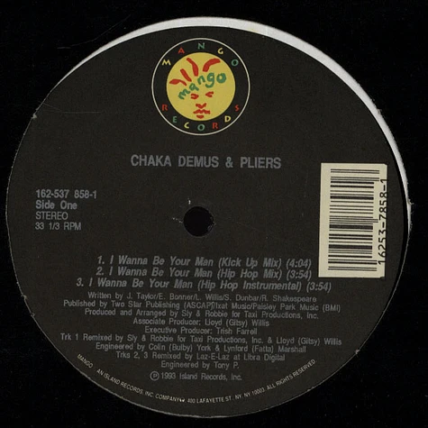 Chaka Demus & Pliers - I Wanna Be Your Man