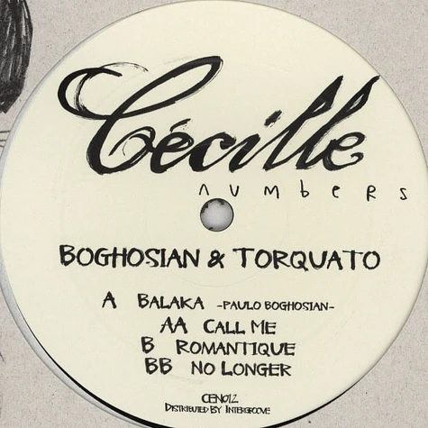 Boghosian & Torquato - 14
