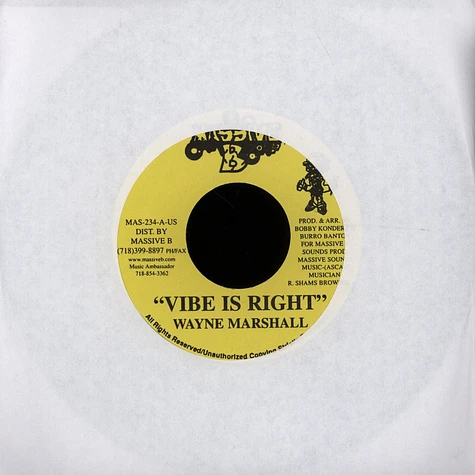Wayne Marshall - Vibe Is Right