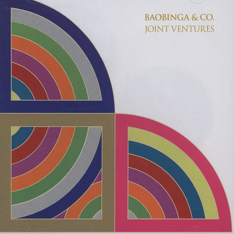 Baobinga & Co. - Joint Ventures