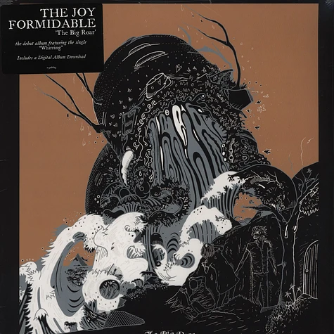 The Joy Formidable - Big Roar