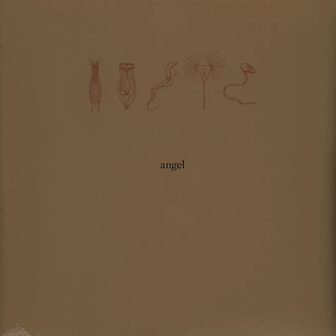 Angel - 26000