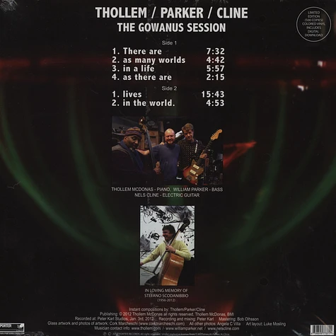 Thollem / Parker / Cline - The Gowanus Session