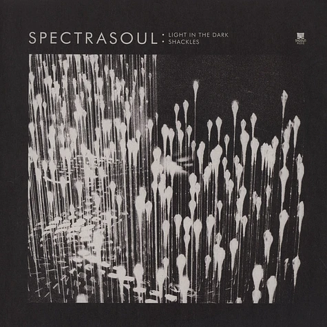 Spectrasoul - Light In The Dark feat. Terri Walker