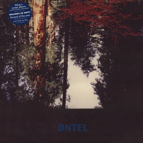 Dntel - Aimlessness