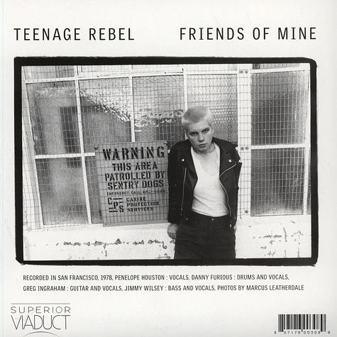 Avengers - Teenage Rebel / Friends Of Mine