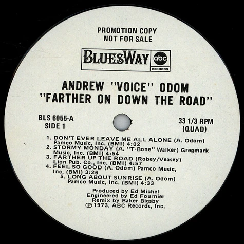 Andrew Odom - Further On Down The Road