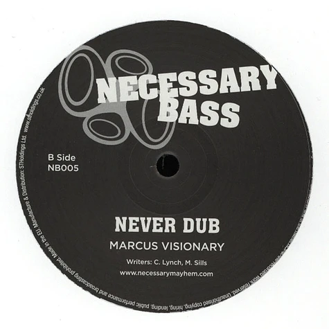 Marcus Visionary & Macka B - Never Leave