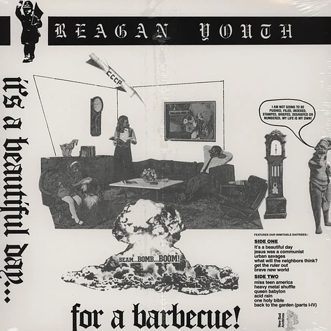 Reagan Youth - Volume Two
