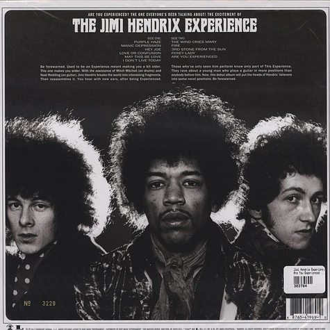 Jimi Hendrix Experience - Are You Experienced - Mono Version