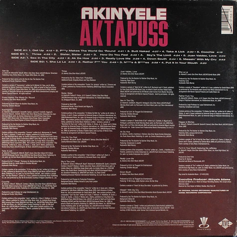 Akinyele - Aktapuss