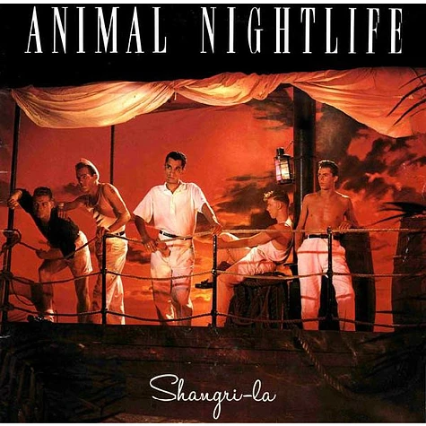 Animal Nightlife - Shangri-La