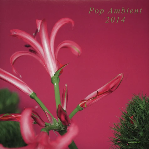 Pop Ambient - 2014