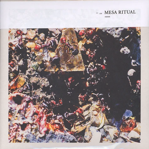 Mesa Ritual - Mesa Ritual