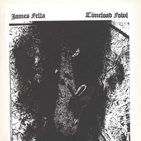 James Fella / Timeload Foal - Split