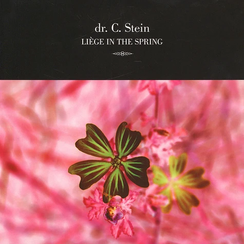 Dr. C. Stein - Liege In The Spring