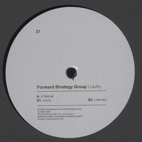 Forward Strategy Group - Levity