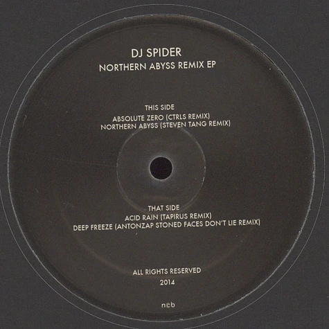 DJ Spider - Northern Abyss Remix EP