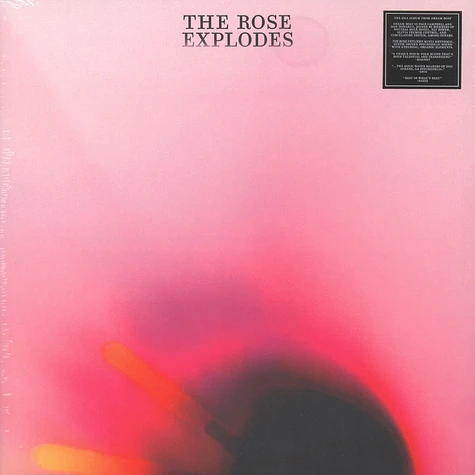 Dream Boat - The Rose Explodes
