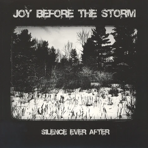 Joy Before The Sorm - Silence Ever After