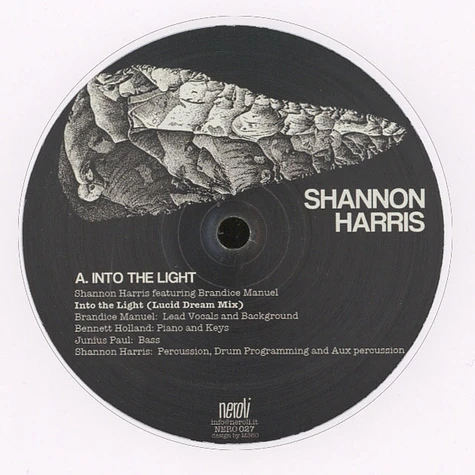 Shannon Harris - Into The Light