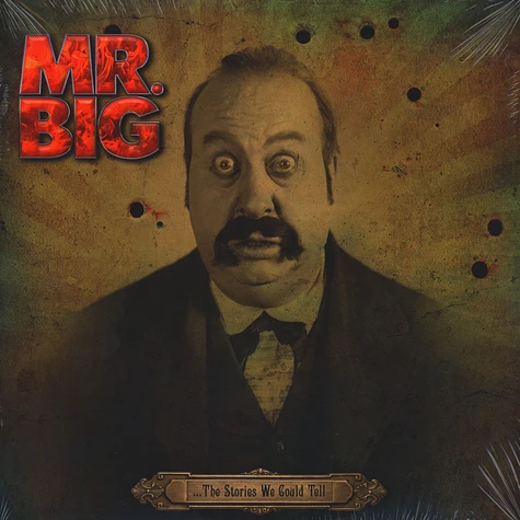 Mr. Big - The Stories We Could Tell