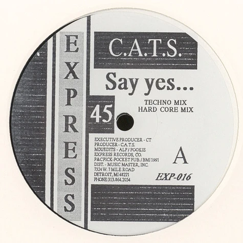 Cats - Say Yes