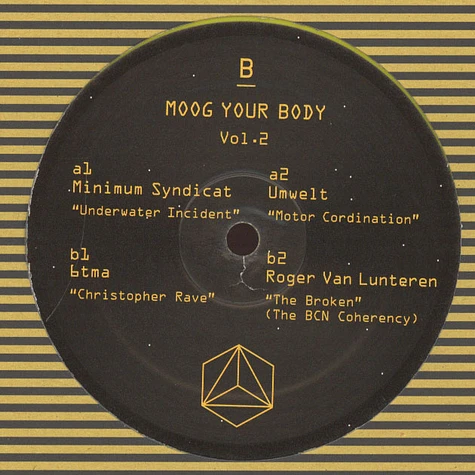 V.A. - Moog Your Body Volume 2