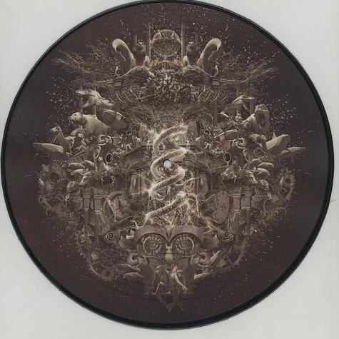 Nightwish - Endless Forms Most Beautiful Picture Disc Edition