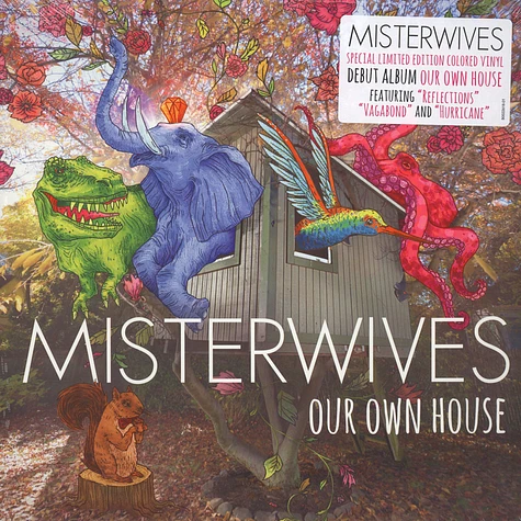 Misterwives - Our Own House