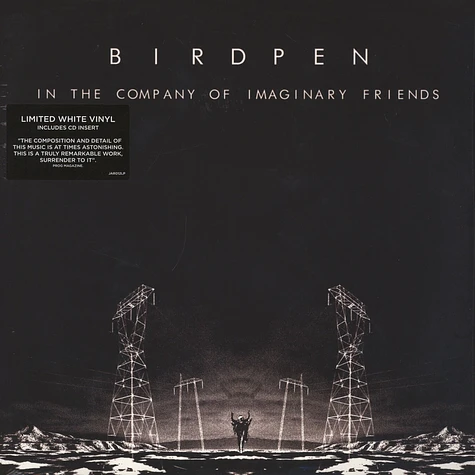 BirdPen - In The Company Of Imaginary Friends