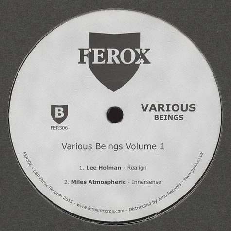 V.A. - Various Beings Volume 1