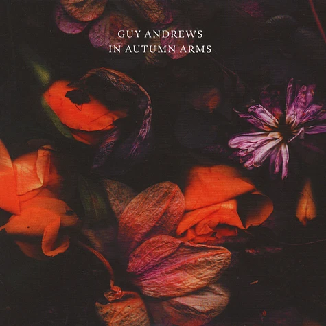 Guy Andrews - In Autumn Arms